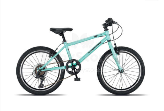 Bērnu velosipēds Champions Essenza 20 (ESK2011) Turquoise