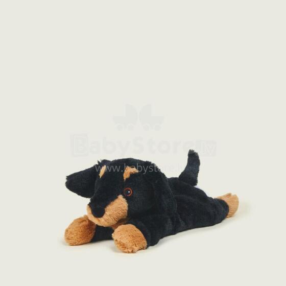 Warmies - Dachshund (Junior size)