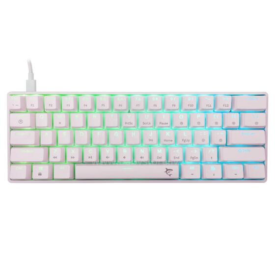 White Shark GK-004221 Shinobi-2  Blue switch, White US