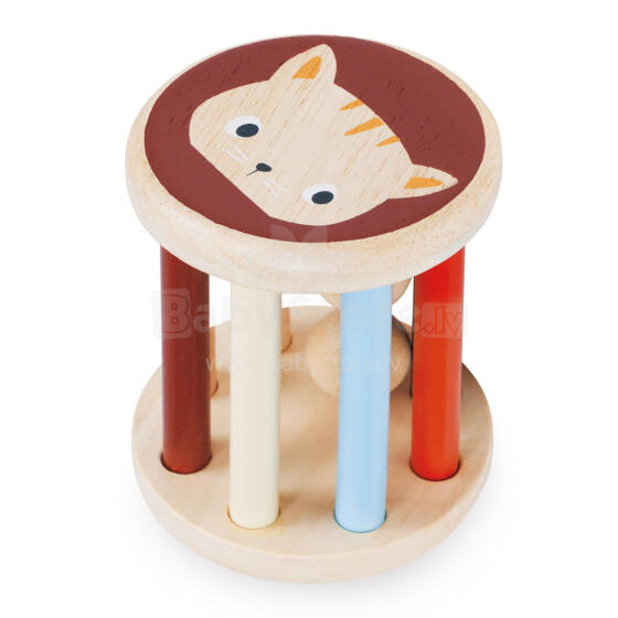 Mentari Rolling Rattle, Котёнок