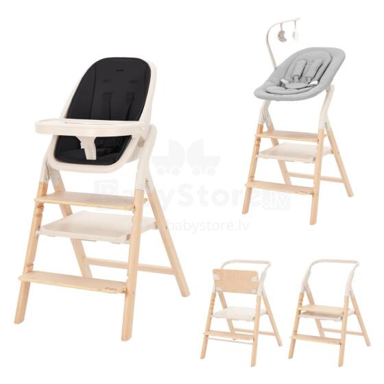Детский стульчик Carrello ERGO CRL-16701 Obsidian Black