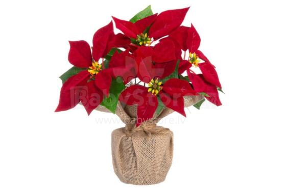4Living Poinsettia in jute pot red 26 cm display