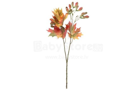 4Living Maple одинарный 75 см