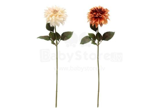 4Living Dahlia big flower 74 cm assortment