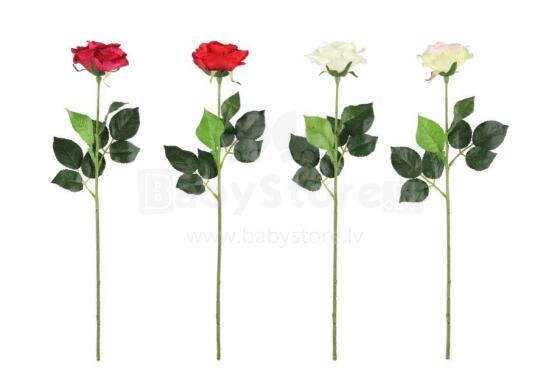 4Living roze vienīgā 52 cm sortiments
