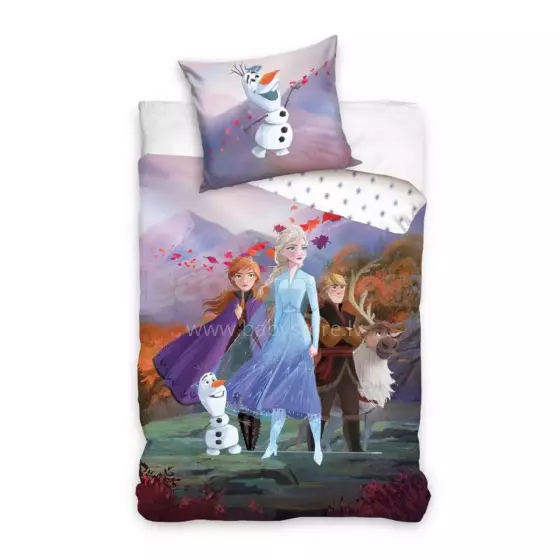 Carbotex Bedding Frozen Art.FRO2458725-13  Хлопковое постельное белье  140x200/60x70см