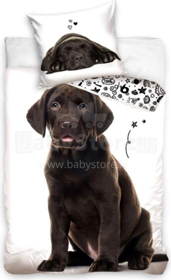 Carbotex Bedding Dog 135x200/80x80cm Art.NL221227-4 Kokvilnas gūltas veļas komplekts