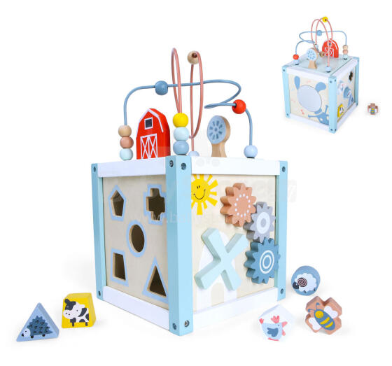 Деревянный обучающий куб-сортировщик + блоки ECOTOYS