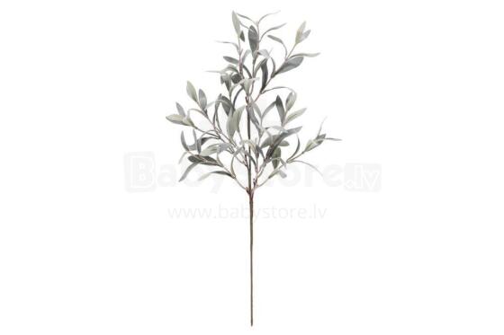 4Living Olive stem 60 cm