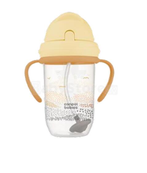 CANPOL BABIES neizlejamā pudele ar  salmiņu MOUNTAINS, 270 ml, 56/620_bei