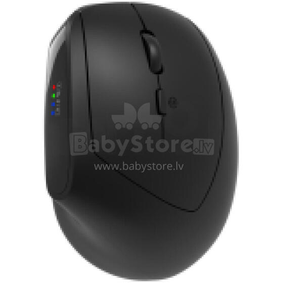 CANYON мышь MW-25 Эргономичная LED AA Двухрежимная Беспроводная Черная
