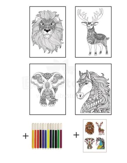 Joonistuskomplekt Loomad, 4 postrit