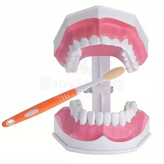 Doctor Set Smile Dentist Teeth Art.260085 Young/brave dentist set - Superhero smile
