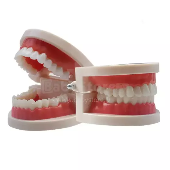 Doctor Set Smile Dentist Teeth Art.260086 Drosmīgā zobārsta komplekts Zobi -  Supervaroņa smaids