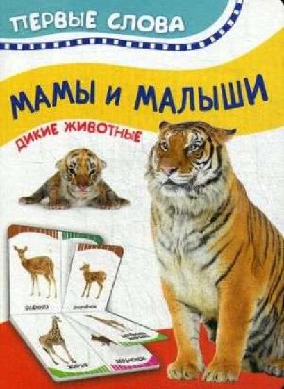Kids Book Art.26118  Первые слова Мамы и малыши