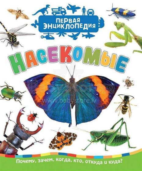 Kids Book Art.26190  Первая энциклопедия Насекомые