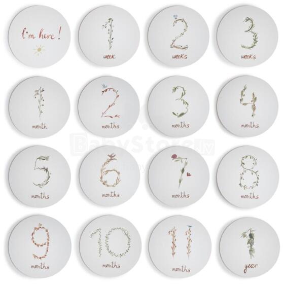 Mushie 16 Baby Monthly Cards Art.2460000  Perfect Gift for Newborn Photo Sessions