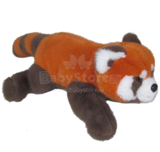 PANDA CZERWONA LEŻĄCA