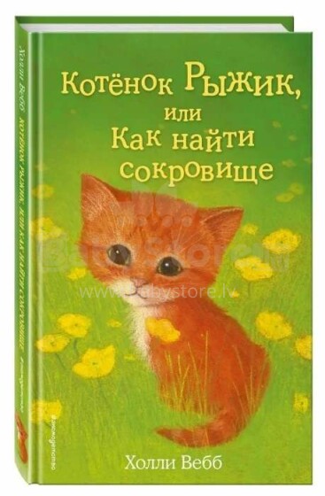 Vaikų knyga. 26880 kačiukas arba kaip rasti lobį