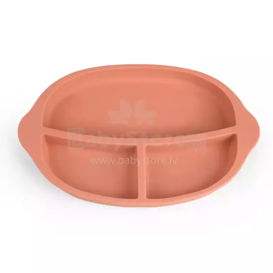 Haakaa Silicone Divided Plate Art.UTE27-R Rust Silikona bērnu šķīvis ar nodalījumiem