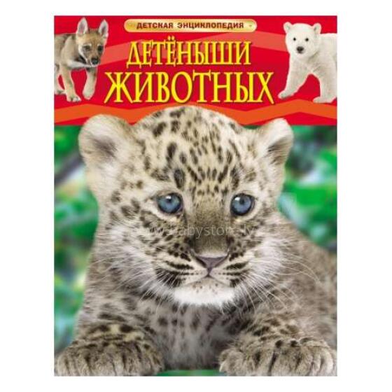 Kids Book Art.26959 Bērnu enciklopēdija  Dzīvnieku mazuļi