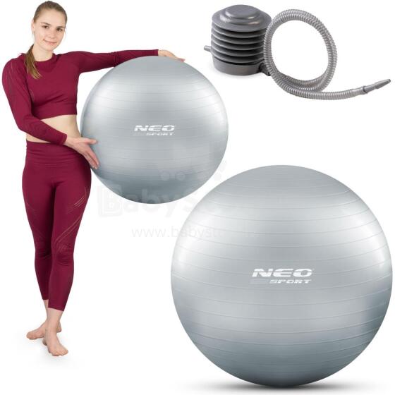 65 cm Exercise Ball NS-951 Silver