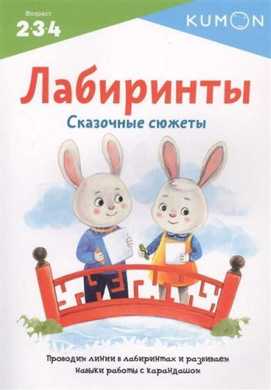 Kids Book Art.27174  Labirinti. Pasakaini sižeti.