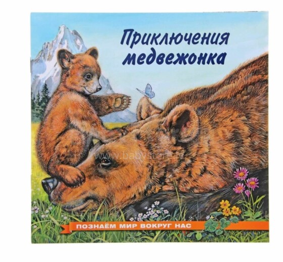 Vaikiškos knygos 277360 meškų nuotykis (rusų kalba)