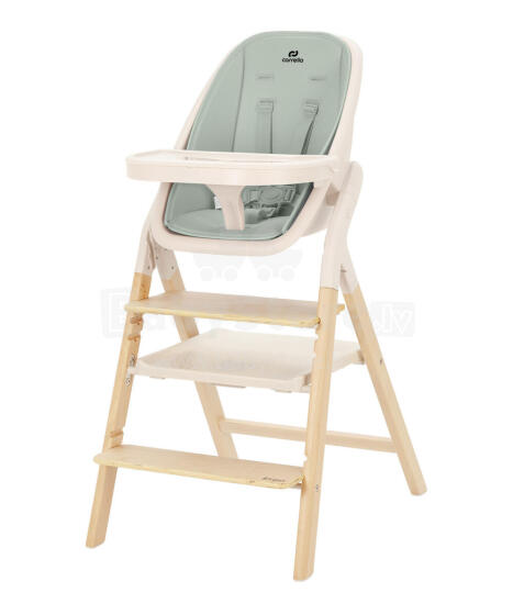 Baby high chair Carrello ERGO CRL-16701 Elora Green