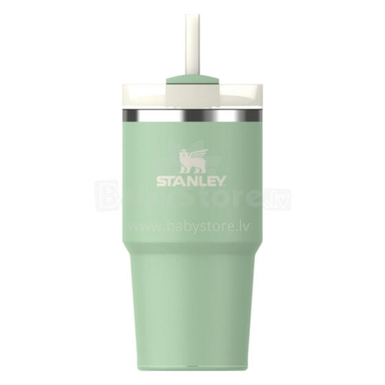 Thermo mug with straw The Quencher H2.O FlowState Tumbler 0.59L pistachio color