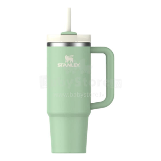 Thermo mug with straw The Quencher H2.O FlowState Tumbler 0.89L in pistachio color