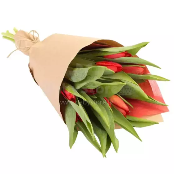 Fresh La Petit Fluer Art. LPT-TY9 Tulpes Dzeltenas 9gb (piegāde nākamajā dienā uz Pērnavas 5) Svaigas tulpes ziedi