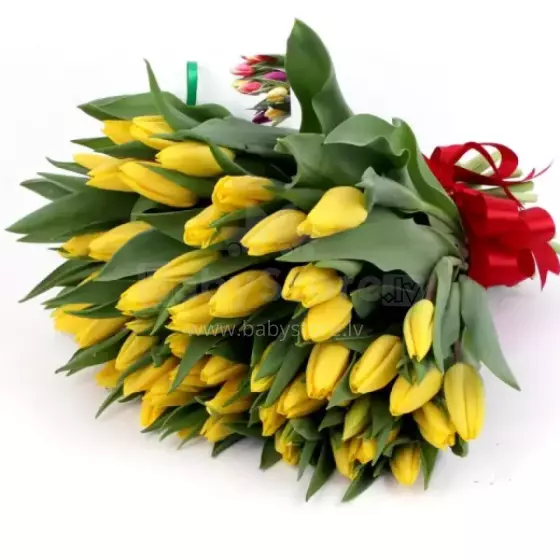 Fresh La Petit Fluer Art. LPT-TR51 Fresh Red Tulips Bouquet – 21 pcs (delivery next day to Pērnavas 5) with Bear 100cm
