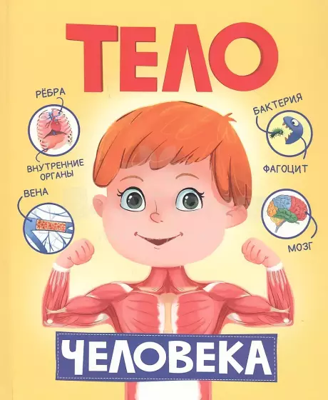 Kids Book Art.28133 Тело человека (русский яз.)