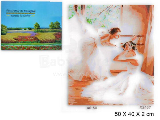 Painting by the numbers - 47759 - BALLERINAS