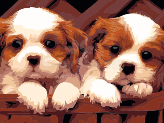 Painting by the numbers - 50913 - 2 PUPPIES - size 40x30 cm