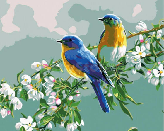 Painting by the numbers - 50593 - BIRDS on a BRANCH - size 40x50 cm