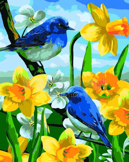 Gleznošana pēc numuriem - 45971 - ZILIE PUTNI - izmērs 40x50 cm
