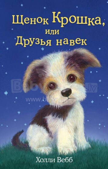 Vaikų knyga. 28505 šuniukas Kūdikis ar draugai amžinai