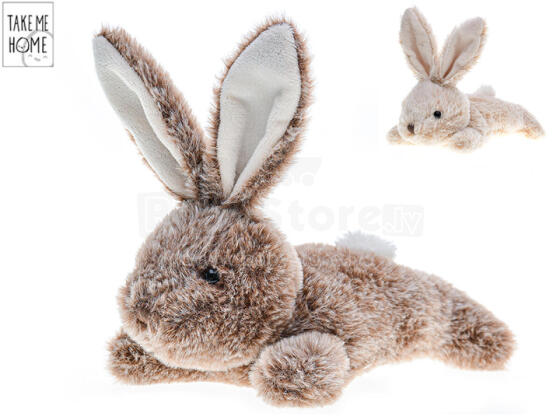 Mīkstā rotaļlieta - 02150 - TRUSIS - izmērs 22 cm
