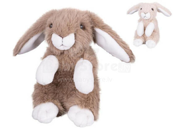 Mīkstā rotaļlieta - 04095 - TRUSIS - izmērs 20 cm