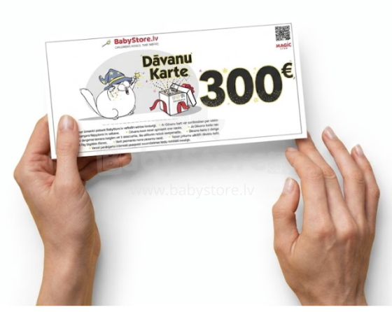 Gift Card Web Art.135697 Электронная подарочная карта 300 EUR
