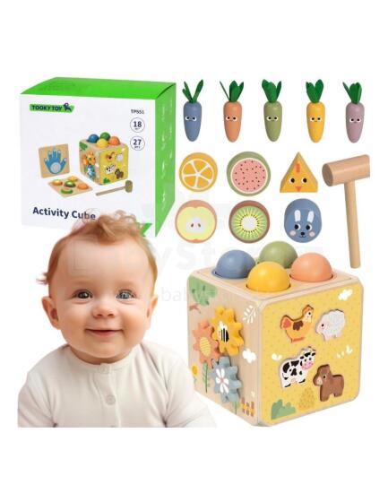 TOOKY TOY Koka Pavasara Izglītojošais Kubs 5in1