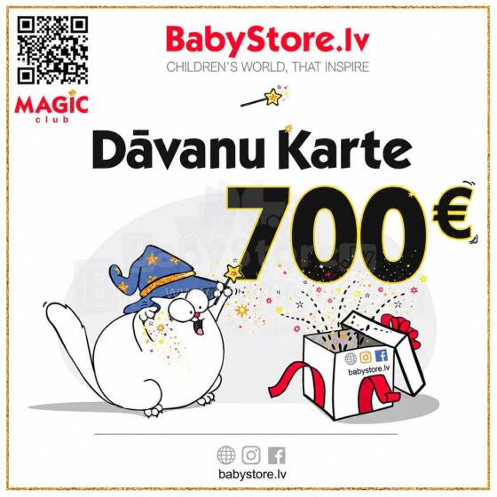 Gift Card Web Art.291451  Elektroniskā dāvanu karte 700 EUR