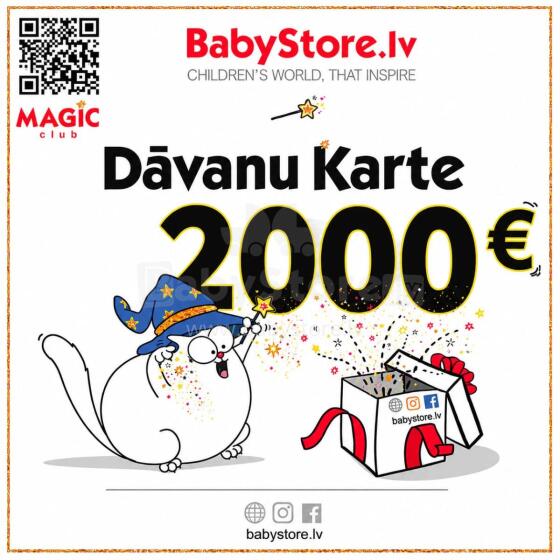 Gift Card Web Art.291454  Elektroniskā dāvanu karte 2000 EUR