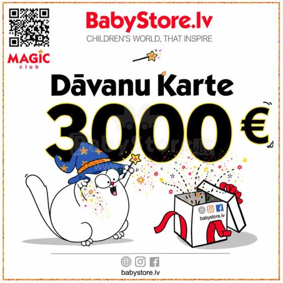 Gift Card Web Art.291455  Elektroniskā dāvanu karte 3000 EUR
