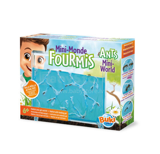 Buki Ants Mini-Pasaule