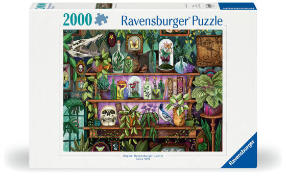 Ravensburger puzle 2000 gabali burvja plaukts
