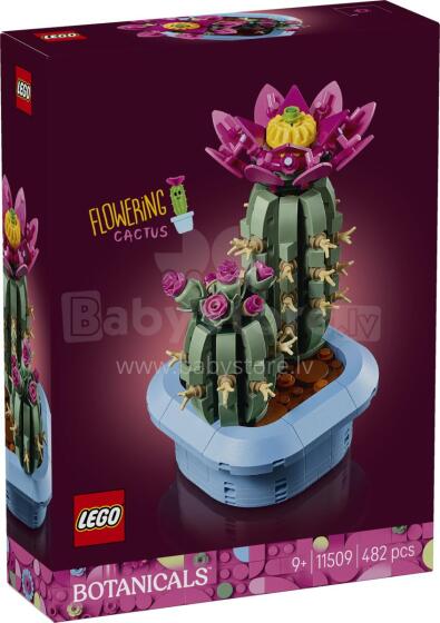 LEGO Botānikas Ziedošais Kaktuss