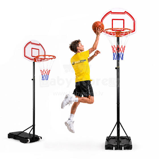 Basketbola grozs, regulējams līdz 210 cm, brīvi stāvošs, aizmugurējā siena, riņķis, MultiGarden